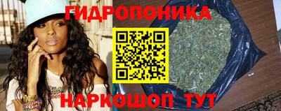 стаф Свободный