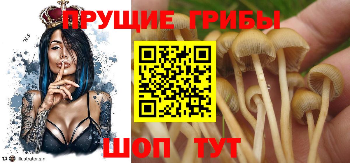 Галлюциногенные грибы мухоморы  Вход с VPN  Сафоново 